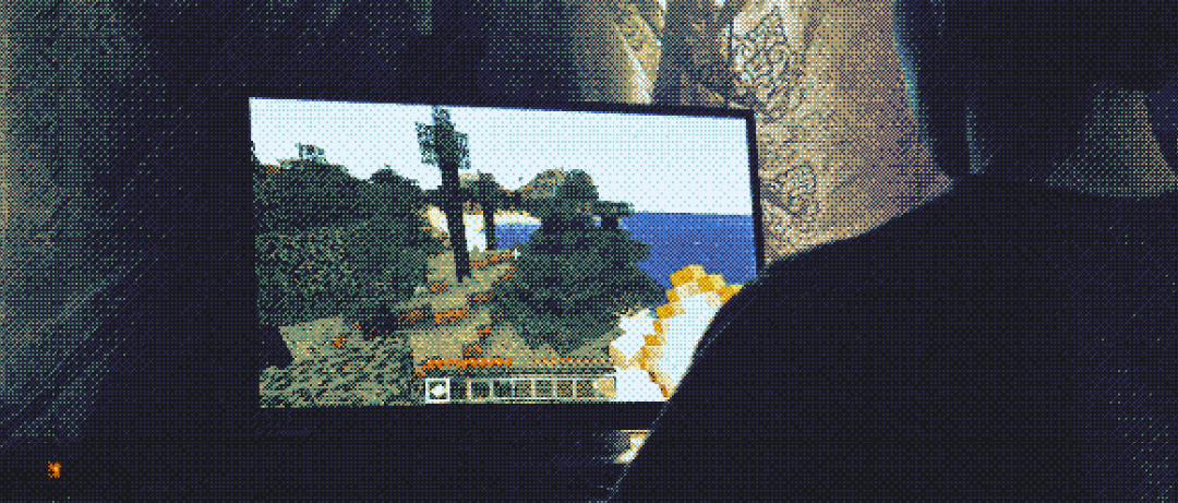 Young adult playing Minecraft Java